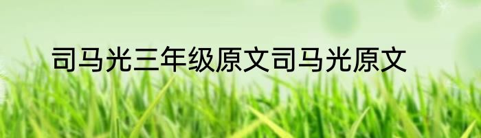 司马光三年级原文司马光原文