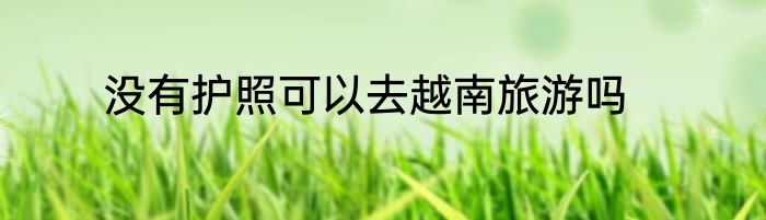 没有护照可以去越南旅游吗