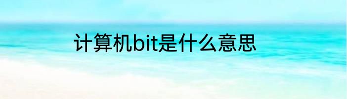 计算机bit是什么意思
