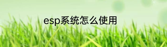 esp系统怎么使用