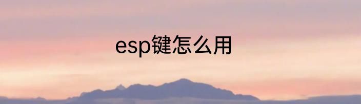esp键怎么用