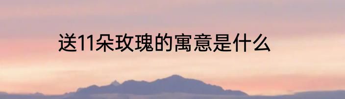 送11朵玫瑰的寓意是什么
