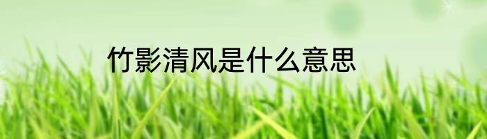 竹影清风是什么意思