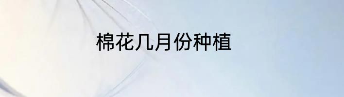 棉花几月份种植