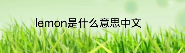 lemon是什么意思中文
