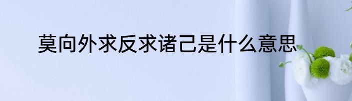 莫向外求反求诸己是什么意思