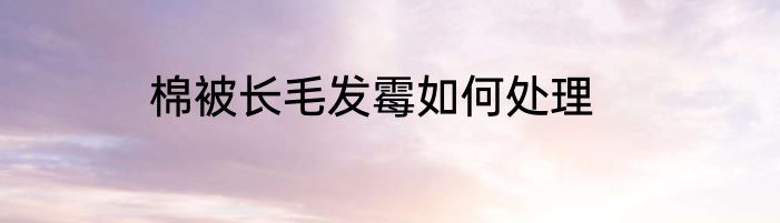 棉被长毛发霉如何处理