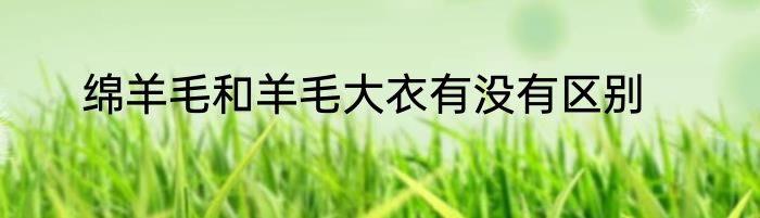 绵羊毛和羊毛大衣有没有区别