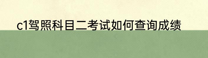 c1驾照科目二考试如何查询成绩
