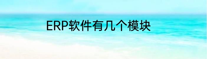 ERP软件有几个模块