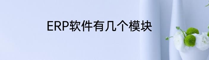 ERP软件有几个模块