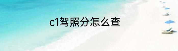 c1驾照分怎么查