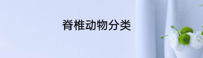 脊椎动物分类