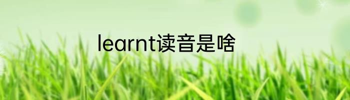 learnt读音是啥