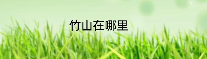 竹山在哪里