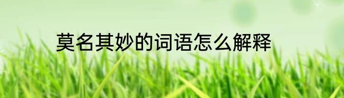 莫名其妙的词语怎么解释