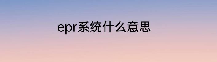 epr系统什么意思