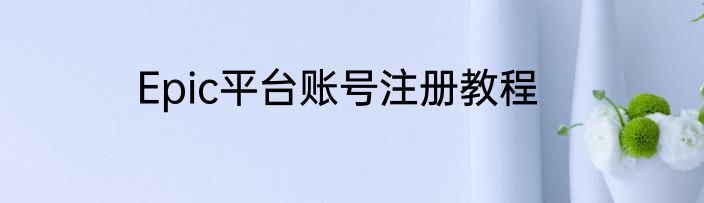 Epic平台账号注册教程