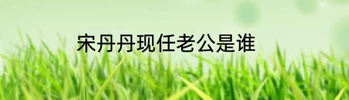 宋丹丹现任老公是谁