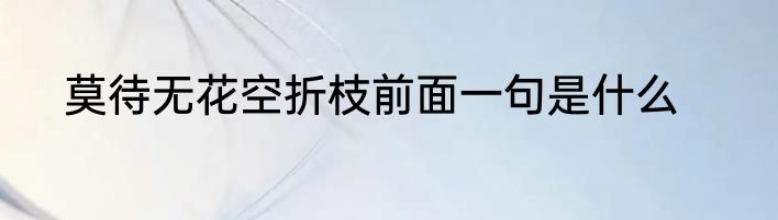 莫待无花空折枝前面一句是什么