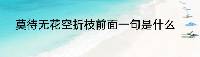 莫待无花空折枝前面一句是什么