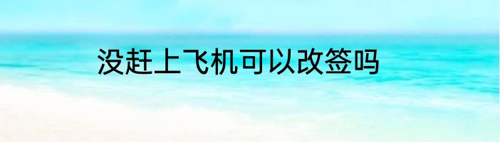 没赶上飞机可以改签吗