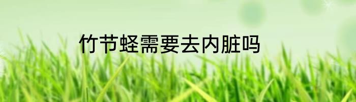 竹节蛏需要去内脏吗