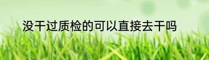 没干过质检的可以直接去干吗
