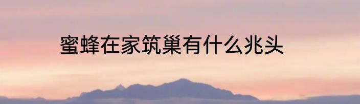 蜜蜂在家筑巢有什么兆头