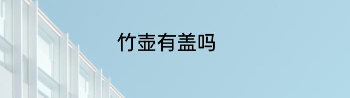 竹壶有盖吗