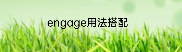 engage用法搭配