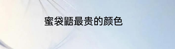蜜袋鼯最贵的颜色