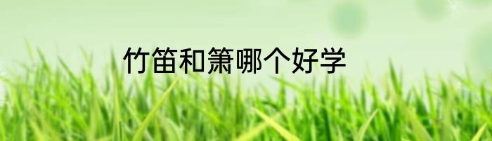 竹笛和箫哪个好学