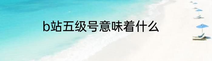 b站五级号意味着什么