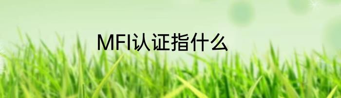 MFI认证指什么