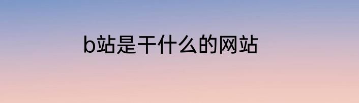 b站是干什么的网站