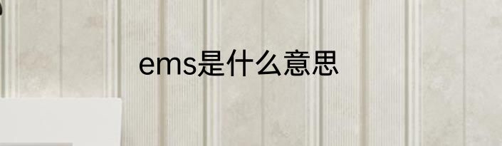 ems是什么意思