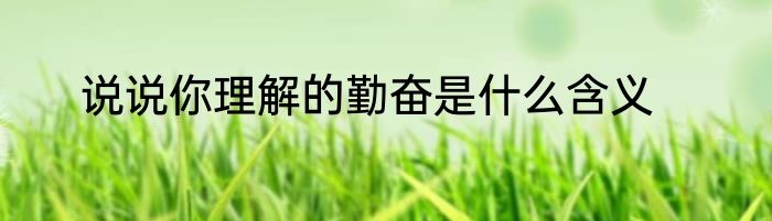 说说你理解的勤奋是什么含义