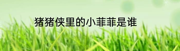 猪猪侠里的小菲菲是谁