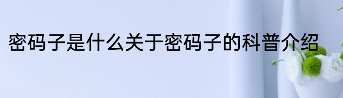 密码子是什么关于密码子的科普介绍
