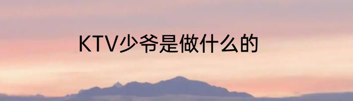 KTV少爷是做什么的