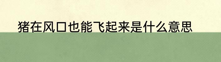 猪在风口也能飞起来是什么意思
