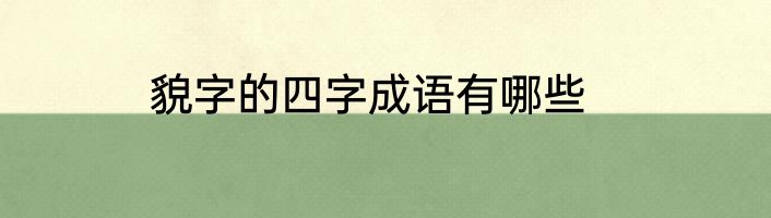 貌字的四字成语有哪些