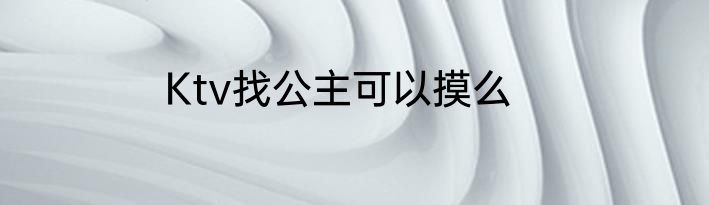 Ktv找公主可以摸么