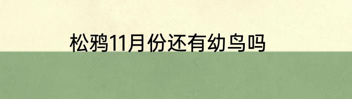 松鸦11月份还有幼鸟吗