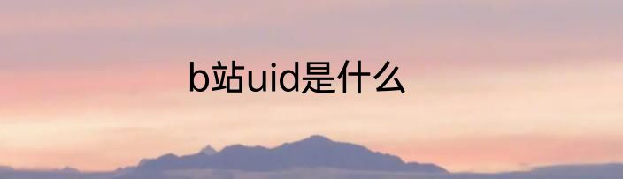 b站uid是什么