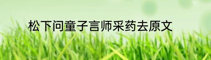 松下问童子言师采药去原文