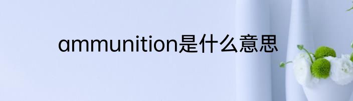 ammunition是什么意思