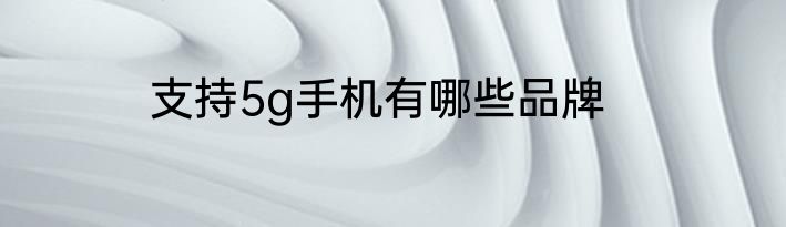 支持5g手机有哪些品牌