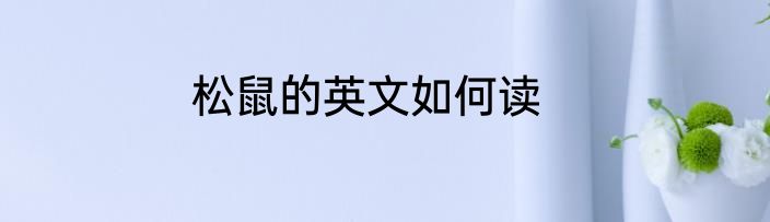 松鼠的英文如何读
